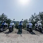 Popovic Апартаменты