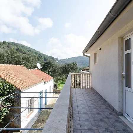 Popovic Apartamento