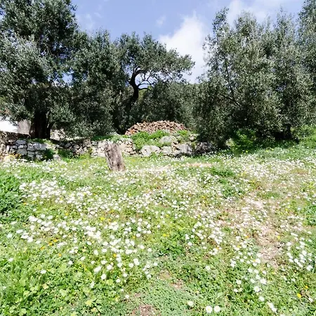Popovic Apartment Babino Polje