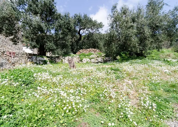 Popovic 公寓 Babino Polje