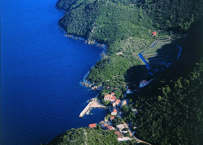 Popovic Babino Polje